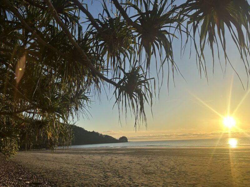 From Mackay: Wallabies on the Beach Sunrise Trip - The Scenic Value of Sunrise and Coastal Views