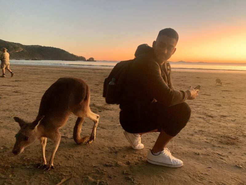 From Mackay: Wallabies on the Beach Sunrise Trip - The Guided Hike and Local Insights