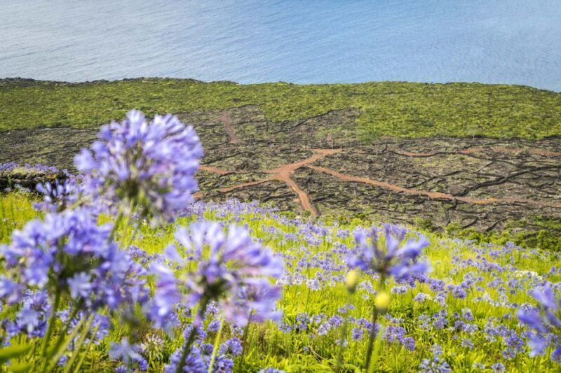 From Madalena: Pico Volcanoes and Lakes Guided Day Tour - A Truly Scenic Day on Pico Island