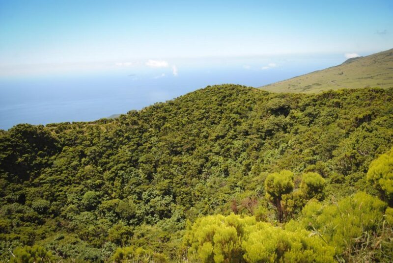 From Madalena: Pico Volcanoes and Lakes Guided Day Tour - Who Is This Tour Best For?