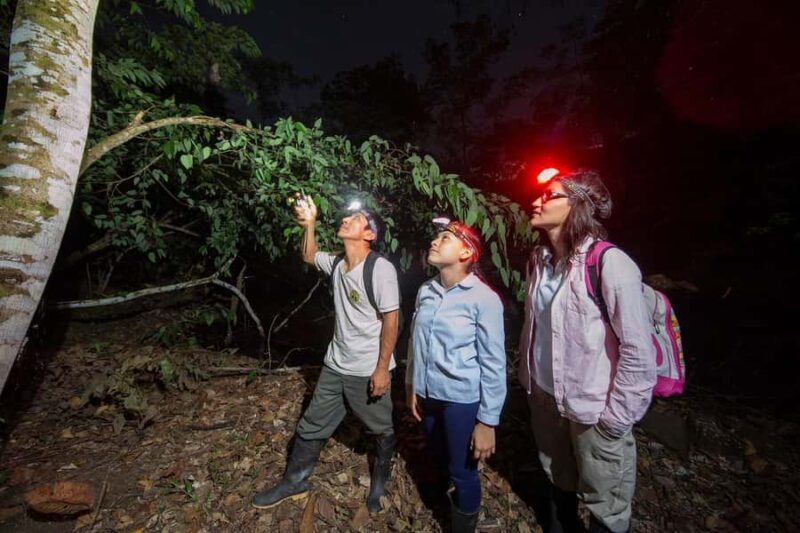 From Madre de Dios ||Night trekking in the Amazon jungle - The Value of Guided Night Tours in the Amazon
