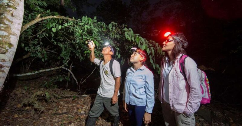 From Madre de Dios ||Night trekking in the Amazon jungle - The Sum Up: Who Should Consider This Night Trek?