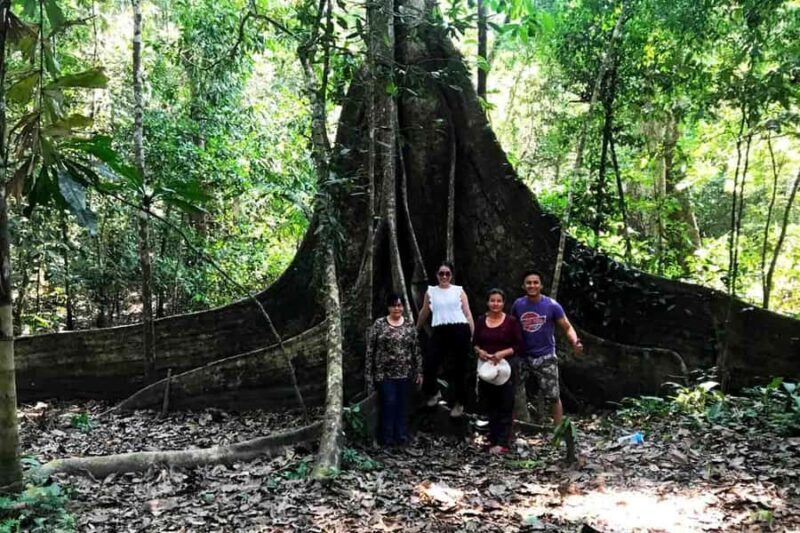 From Madre de Dios ||Night walk in the Amazon rainforest - An In-Depth Look at the Night Walk Experience