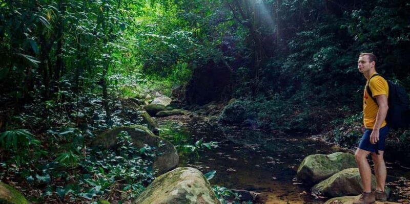 From Madre de Dios ||Night walk in the Amazon rainforest - FAQ