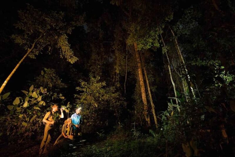 From Madre de Dios ||Night walk in the Amazon rainforest - Key Points