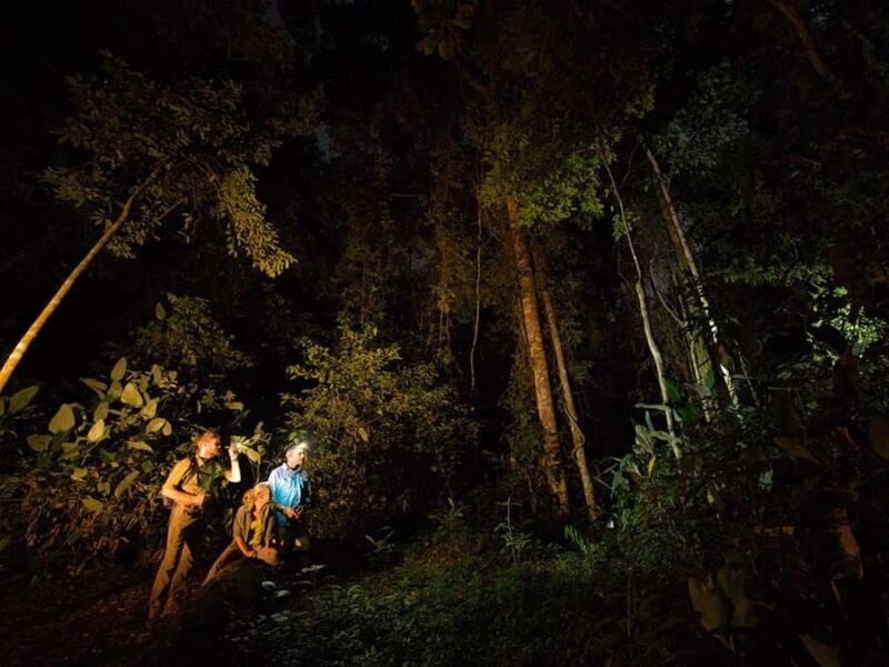 From Madre de Dios | Night walk in the Amazon Rainforest - Key Points