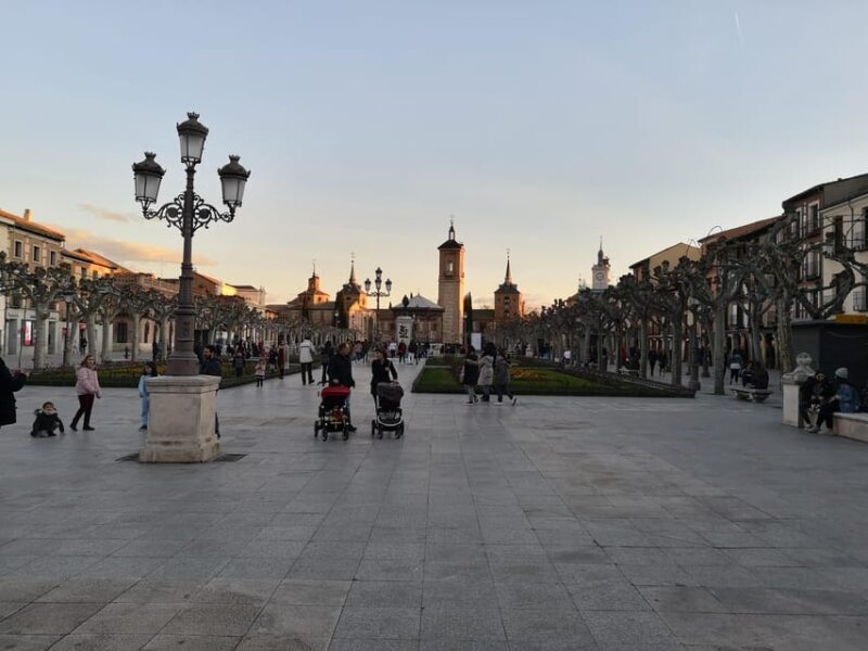 From Madrid: Alcalá de Henares, Winery Tour & Wine Tasting - A Closer Look at What to Expect
