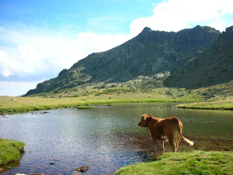 From Madrid: Day Trip to Guadarrama National Park - Key Points