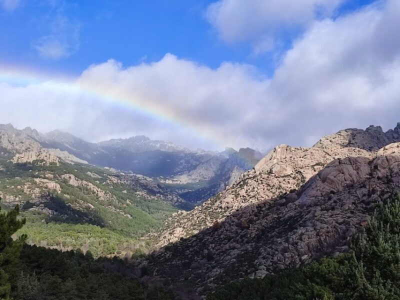From Madrid: Day Trip to Guadarrama National Park - An In-Depth Look at the Guadarrama Day Trip