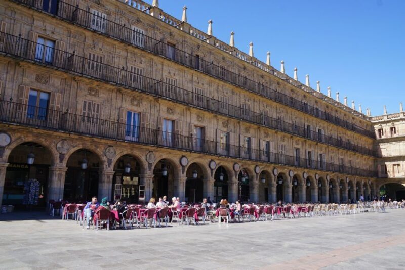 From Madrid: Day Trip to Salamanca with Private Tour - From Madrid: Day Trip to Salamanca with Private Tour