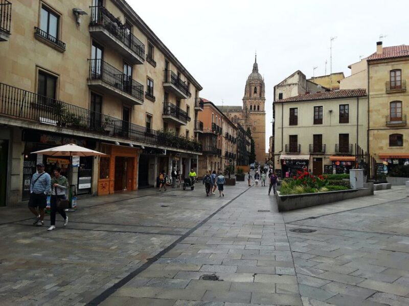 From Madrid: Day Trip to Salamanca with Private Tour - Key Points
