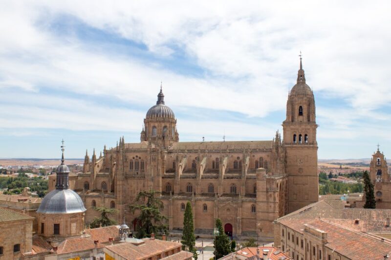 From Madrid: Day Trip to Salamanca with Private Tour - Final Thoughts