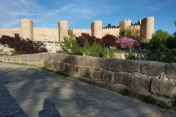 From Madrid : Full-Day Avila and Segovia ComBo Tour (with Transportation) - Who Will Enjoy This Tour?