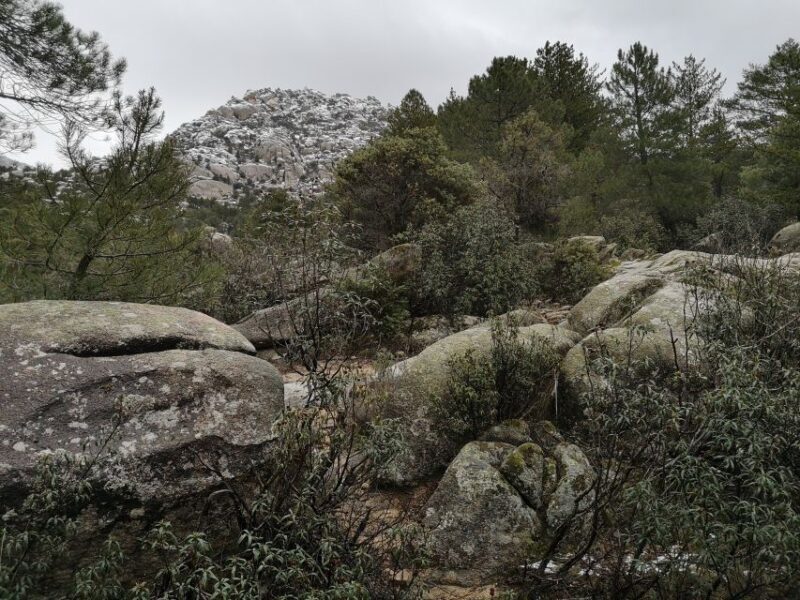 From Madrid: Guadarrama National Park Private Tour - Who Should Consider This Tour?