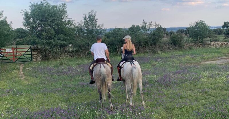 From Madrid: Horseback riding Experience - Why This Tour Is a Great Choice