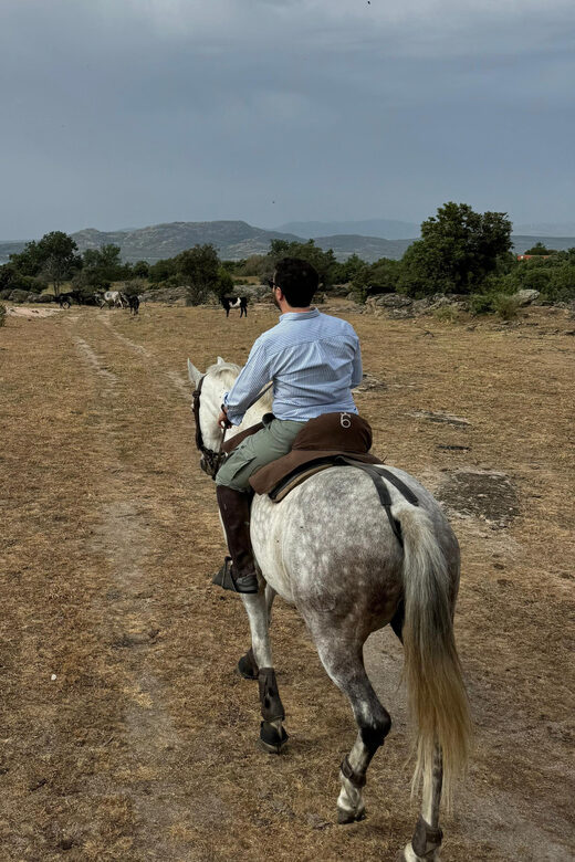 From Madrid: Horseback riding Experience - FAQ