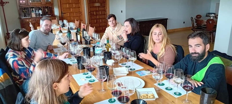 From Madrid: Ribera del Duero Wine Tour with Local Lunch - From Madrid: Ribera del Duero Wine Tour with Local Lunch — A Balanced Look at Spain’s Premier Wine Region