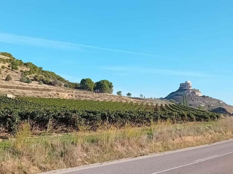 From Madrid: Ribera del Duero Wine Tour with Local Lunch - Key Points