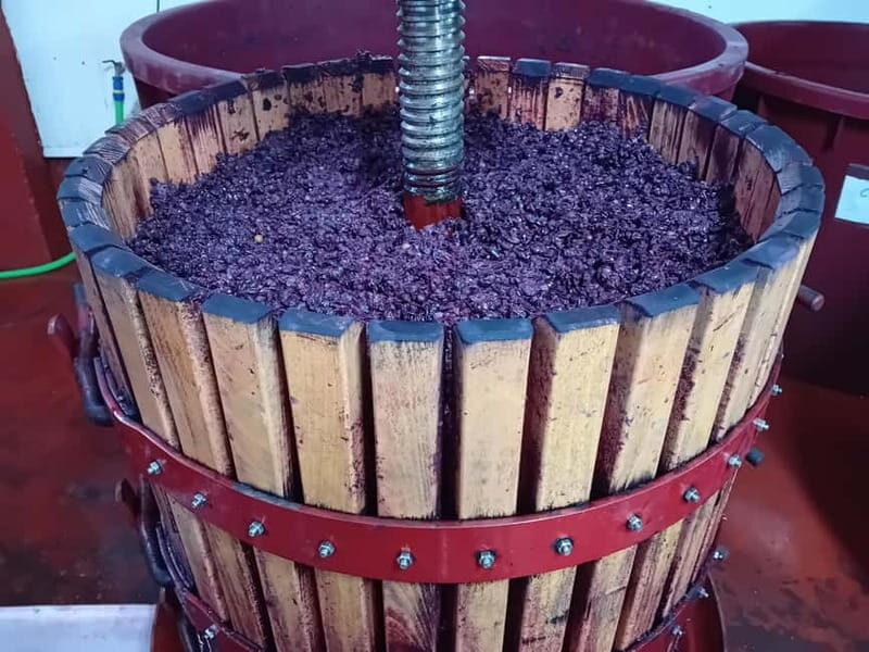 From Madrid: Ribera del Duero Wine Tour with Local Lunch - Who Will Enjoy This Tour?