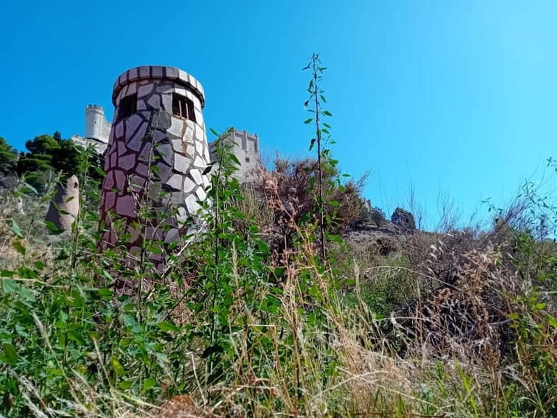 From Madrid: Ribera del Duero Wine Tour with Local Lunch - Final Thoughts