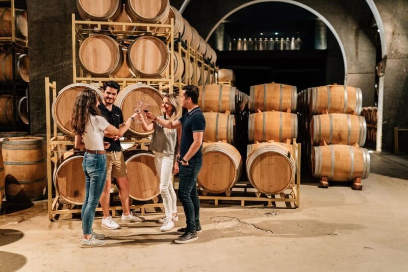From Madrid: Ribera del Duero Winery and Segovia Tour - From Madrid: Ribera del Duero Winery and Segovia Tour