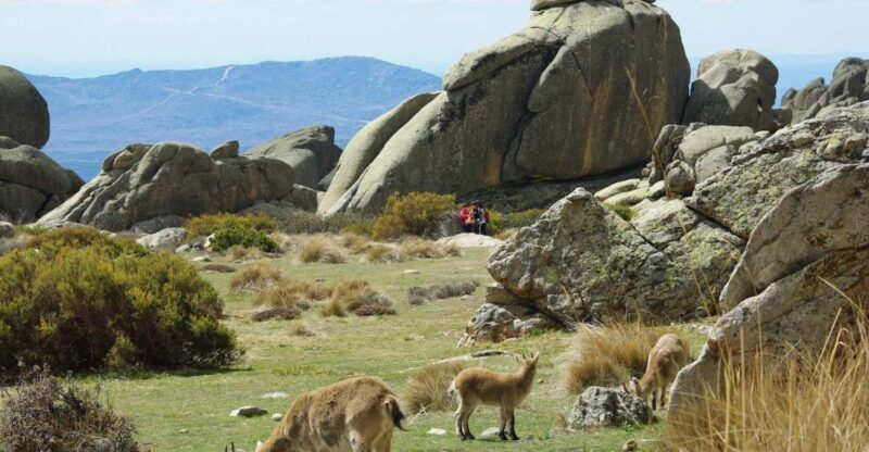 From Madrid: Sierra de Guadarrama Hiking Day Trip - From Madrid: Sierra de Guadarrama Hiking Day Trip — A Detailed Review