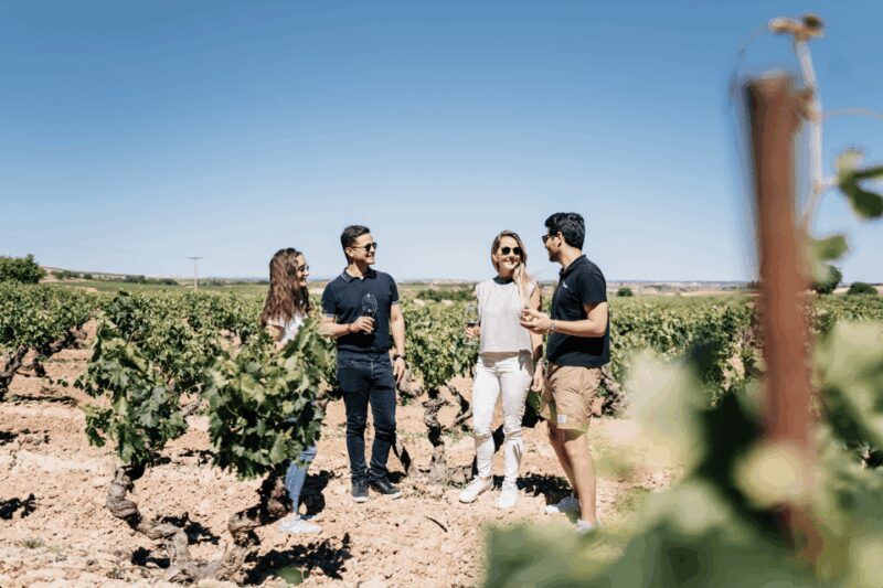 From Madrid: Traditional Villages, Winery Tour & Tapas Lunch - A Closer Look at the Experience