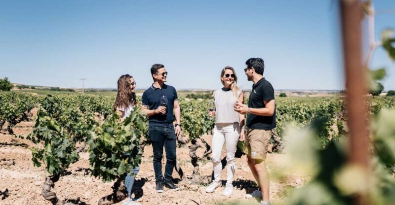 From Madrid: Traditional Villages, Winery Tour & Tapas Lunch - Pricing and Value