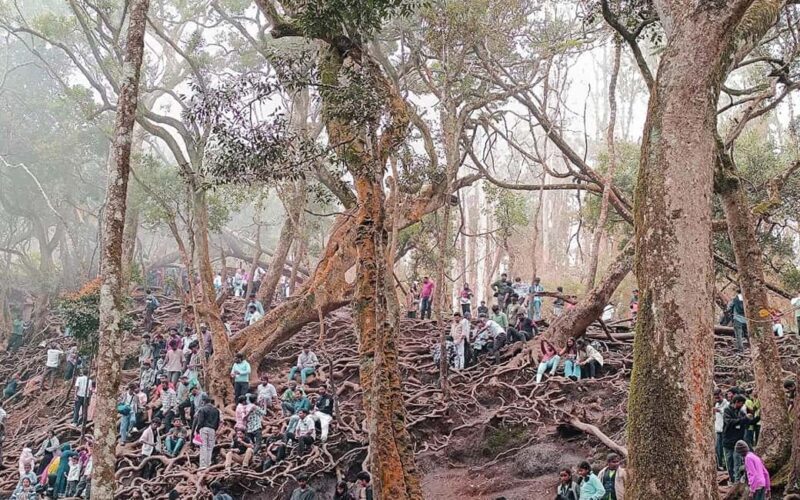 From Madurai: Private 2-Day Hill Station Trip to Kodaikanal - Final Thoughts