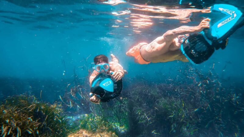 From Magaluf: Palma Bay Sightseeing Cruise with Live Music - FAQ