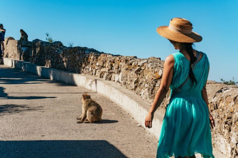 From Malaga and Costa del Sol: Gibraltar Tour - Exploring Gibraltar from Malaga: A Practical, Authentic Day Trip