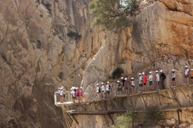 From Málaga: Caminito del Rey Full-Day Tour - From Málaga: Caminito del Rey Full-Day Tour — A Complete Guide