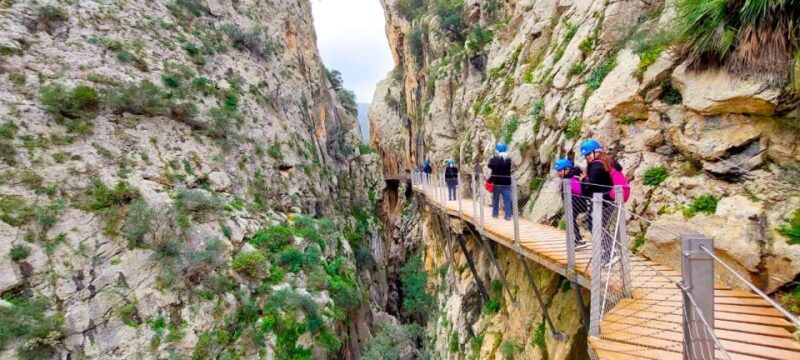 From Málaga: Caminito del Rey Guided Day Trip - What’s Included and What’s Not