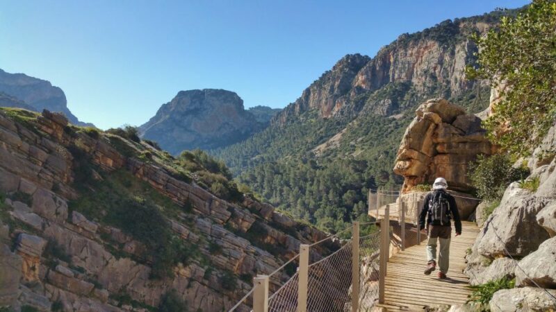 From Málaga: Caminito del Rey Small-Group Tour with Picnic - Practical Tips for Travelers