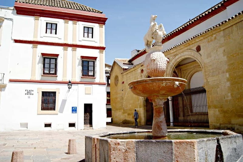 From Málaga: Córdoba Mosque Guided Tour - Why This Tour Works Well