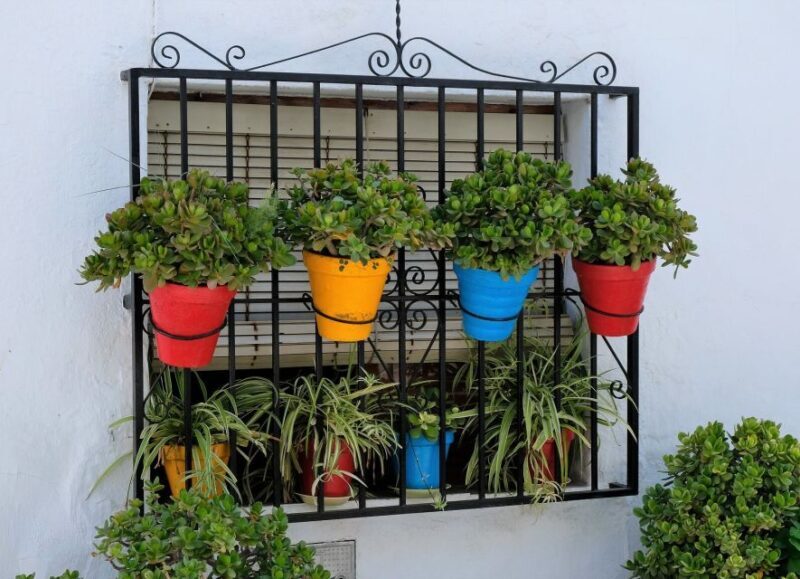 From Málaga /Costa del Sol: Trip to Nerja & Frigiliana - Exploring the Experience: What You Can Expect