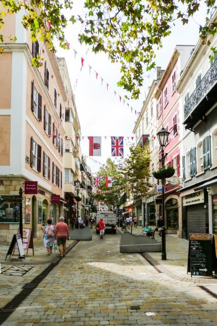 From Malaga: Day trip to Gibraltar and Dolphin Boat Tour - What Makes This Tour Stand Out