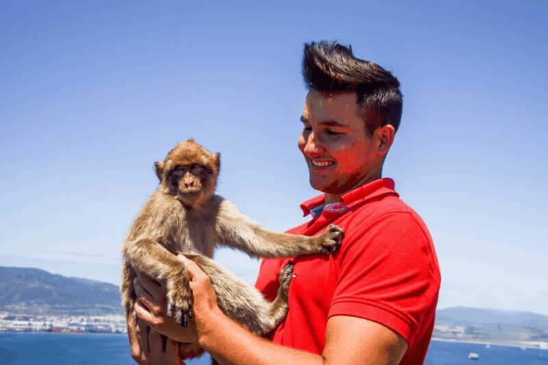 From Malaga: Full-Day Trip to Gibraltar - Exploring Gibraltar from Malaga: A Thorough Review
