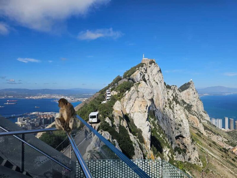 From Malaga: Gibraltar and Tangier Private Day Trip - Transportation and Timing: How It Works