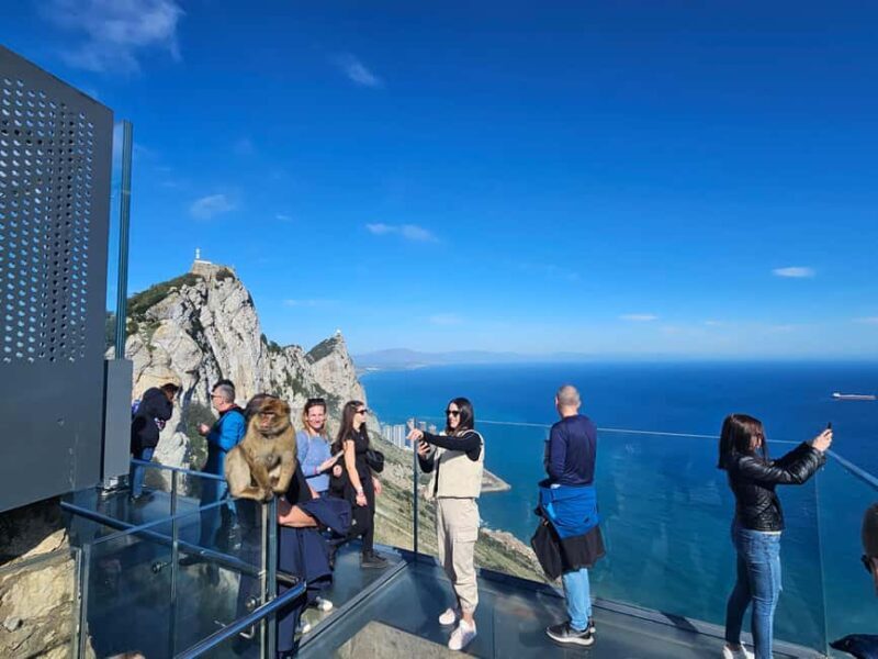 From Malaga: Gibraltar and Tangier Private Day Trip - Who Should Consider This Tour?