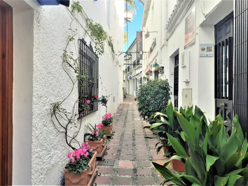 From Malaga: Private Tour in Marbella - Final Verdict: Who Really Benefits?
