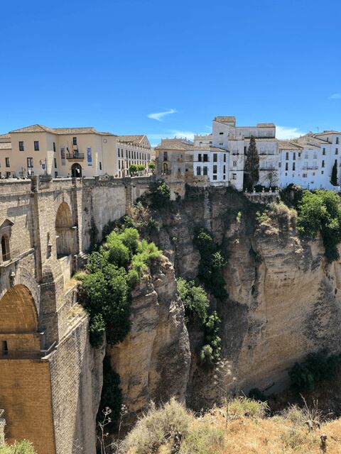From Malaga: Ronda and Setenil de las Bodegas Day Trip - Exploring the Towns: What to Expect on This Day Trip
