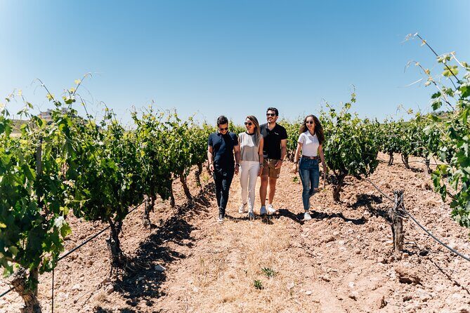 From Malaga: Ronda, Wine & Olive Oil Tasting Premium Small Group - What Travelers Are Saying