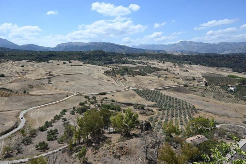 From Malaga: Ronda y Setenil de la Bodegas Day Trip by coach - Practical Tips for the Tour
