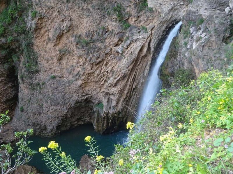 From Malaga: Ronda y Setenil de la Bodegas Day Trip by coach - Who Should Consider This Tour?