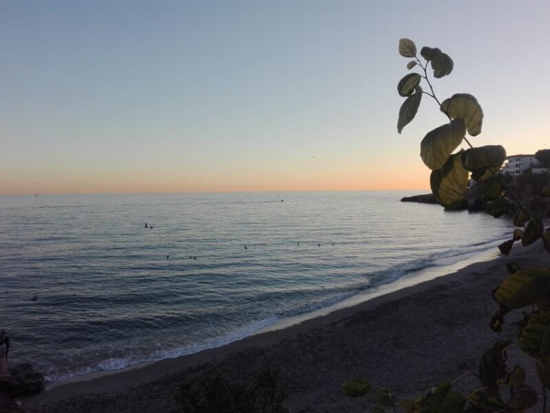 From Málaga: Skip-the-Line Nerja Cave and Frigiliana - Who Should Consider This Tour?