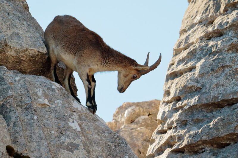 From Malaga: Torcal de Antequera Hiking Tour - A Closer Look at El Torcal de Antequera