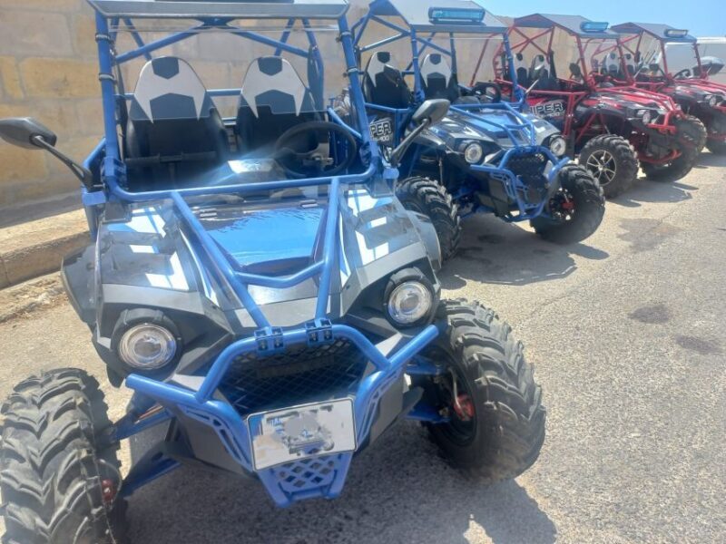 From Malta: Full-Day Gozo Buggy Tour with Lunch & Boat Ride - Final Thoughts: Is It Worth It?
