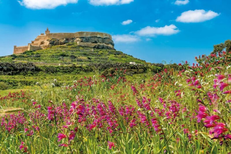 From Malta: Gozo Day Trip Including Ggantija Temples - FAQ