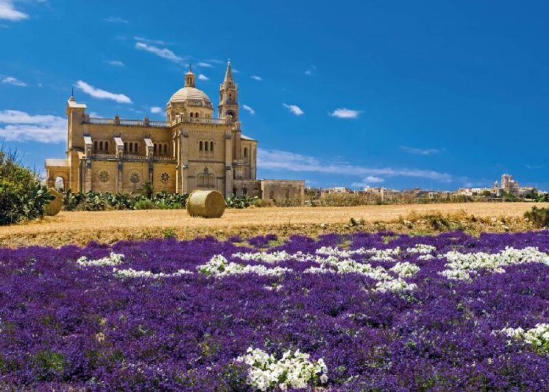 From Malta: Gozo Full-Day Tour with Guide, Temples, & Train - Transport and Organization: How It Works